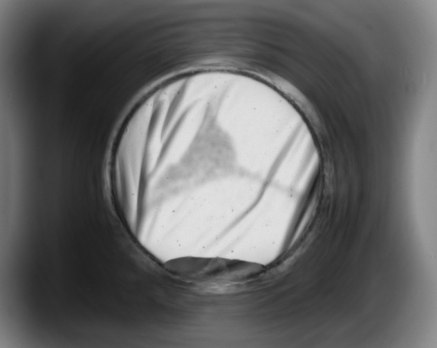 X0000087601288200705251914