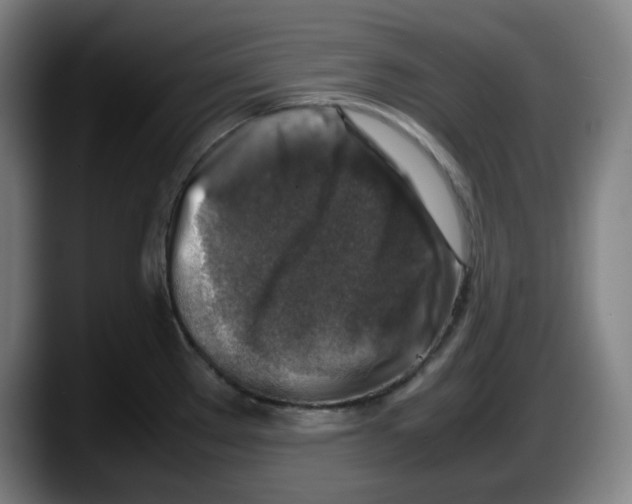 X0000087601289200705251914