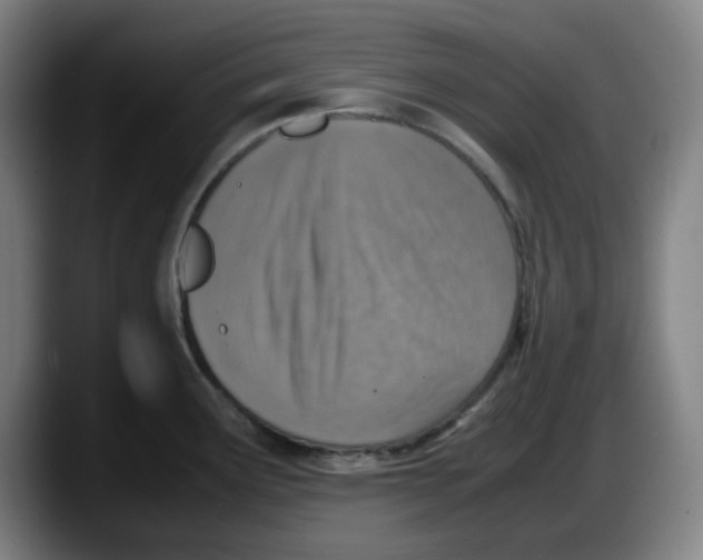 X0000087601291200705251914