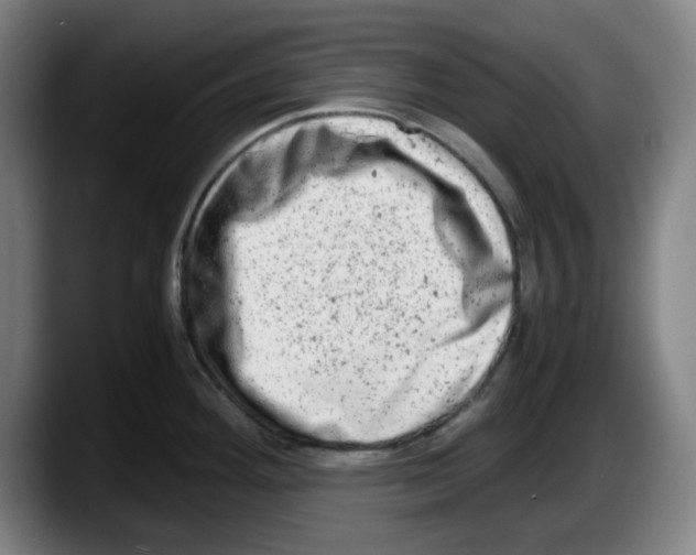 X0000087601292200705251914