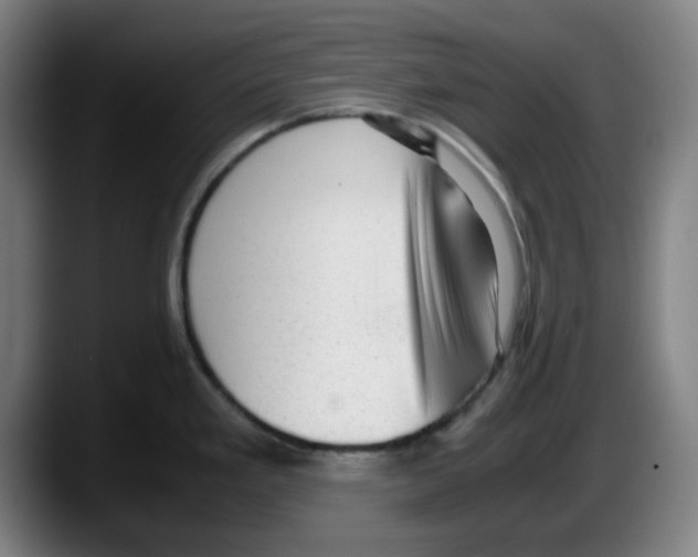 X0000087601293200705251914