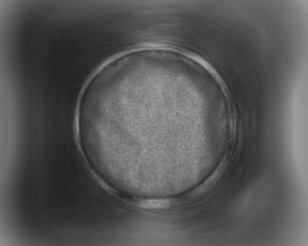 X0000087601294200705251914