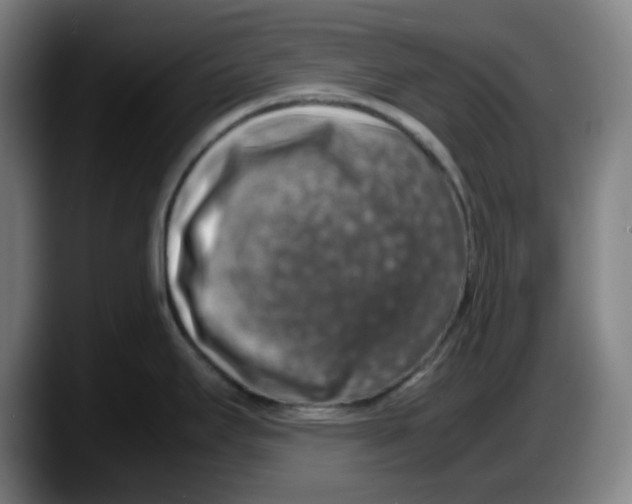 X0000087601295200705251914