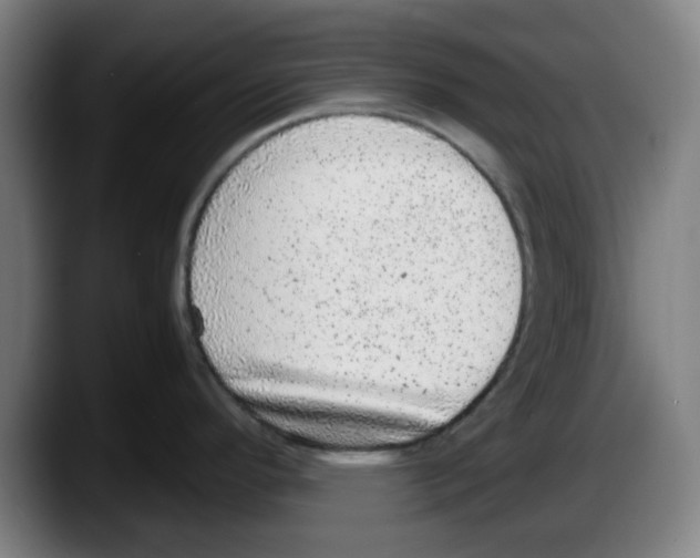 X0000087601296200705251914