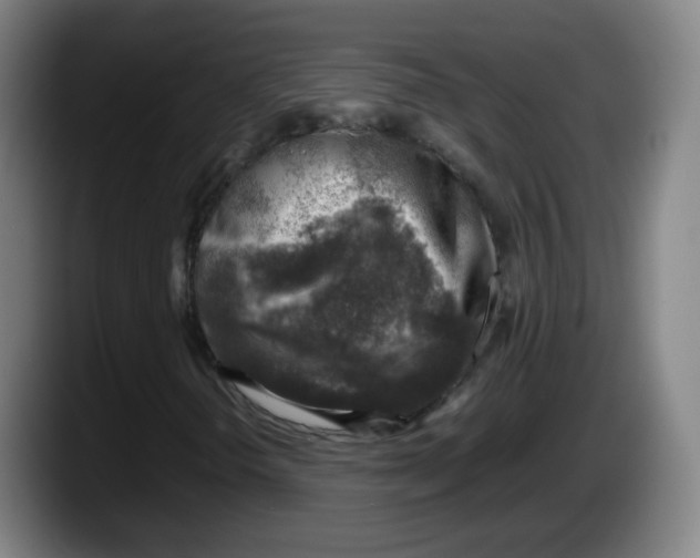 X0000087601298200705251914