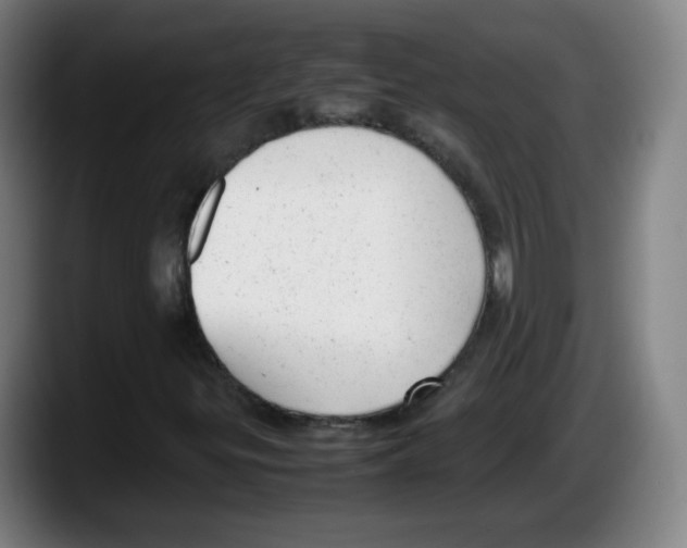 X0000087601299200705251914