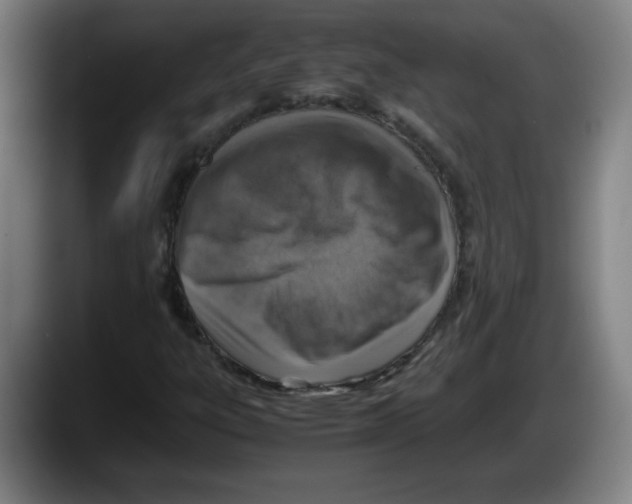 X0000087601303200705251914