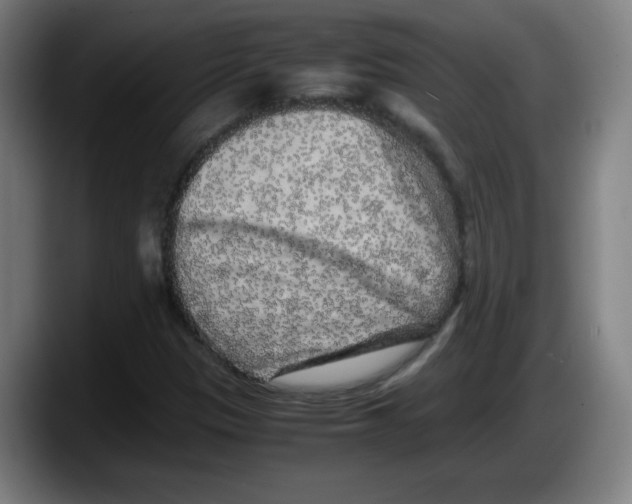 X0000087601305200705251914