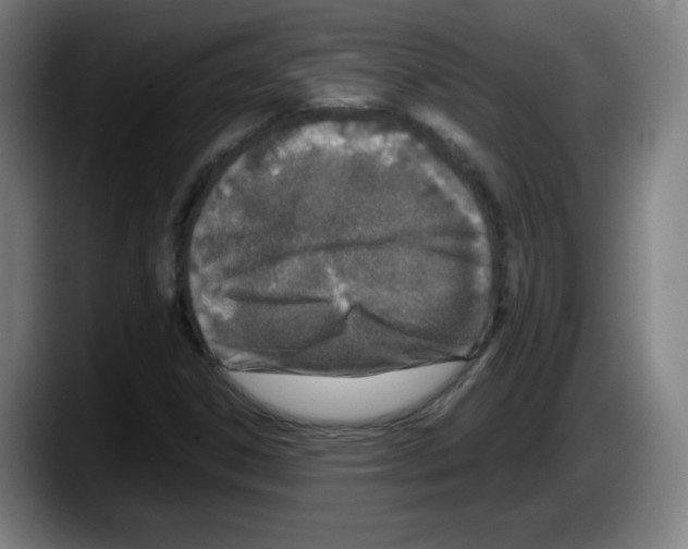 X0000087601306200705251914