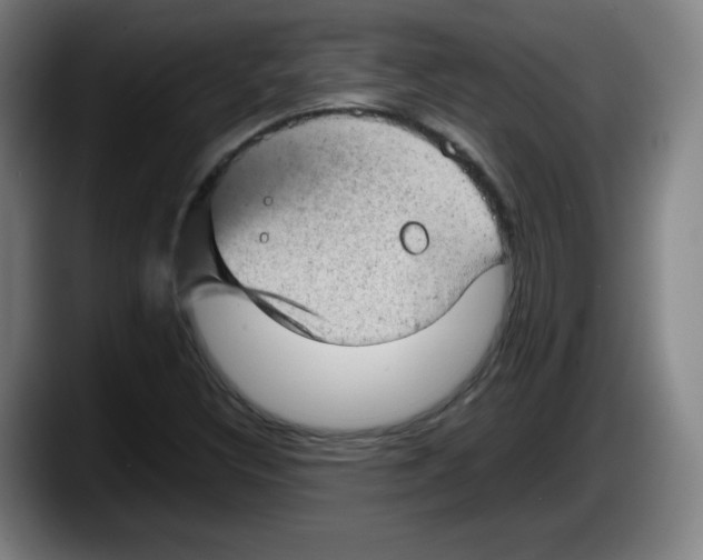 X0000087601308200705251914