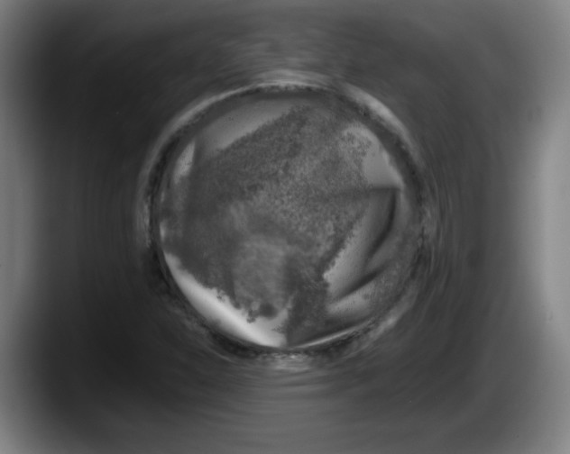 X0000087601310200705251914