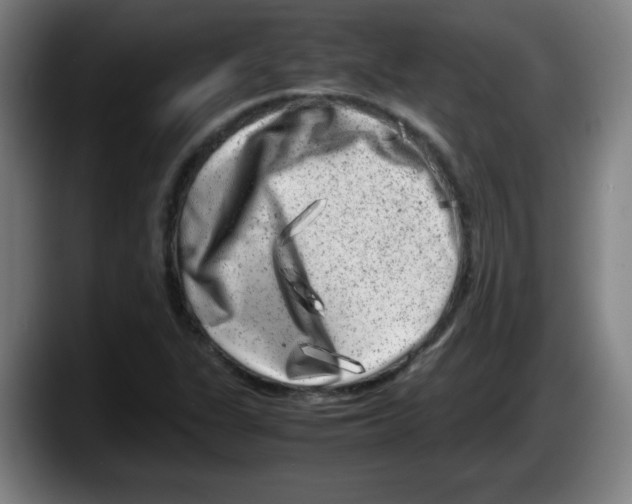 X0000087601311200705251914