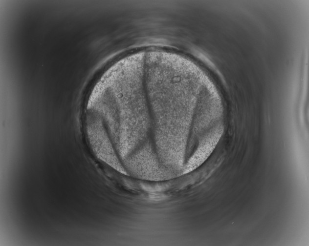 X0000087601312200705251914