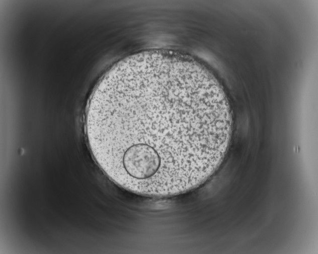 X0000087601314200705251914