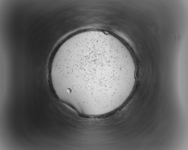 X0000087601316200705251914