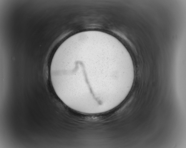 X0000087601317200705251914