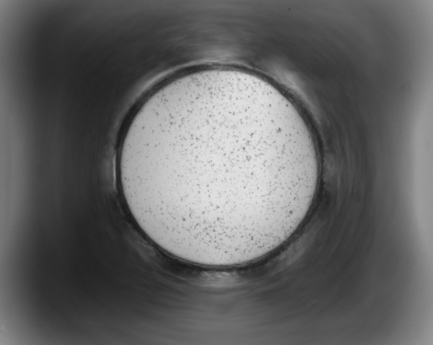 X0000087601320200705251914