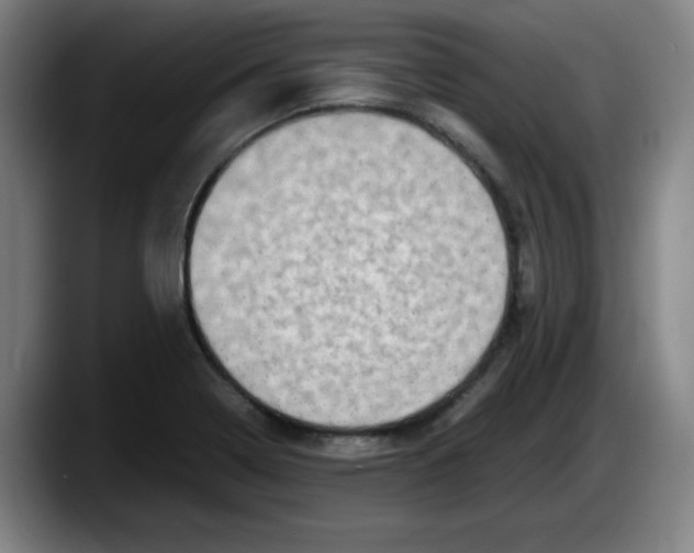 X0000087601322200705251914