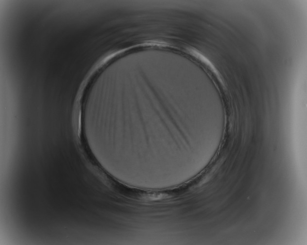 X0000087601323200705251914