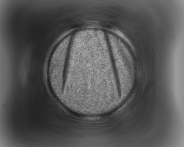 X0000087601325200705251914