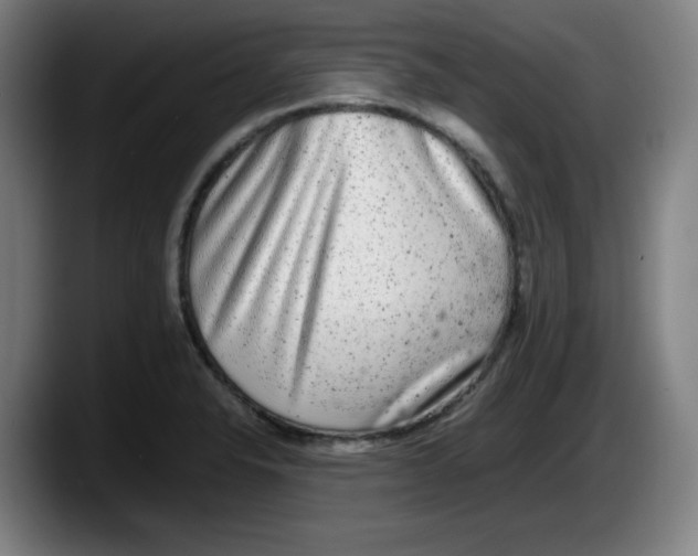 X0000087601326200705251914