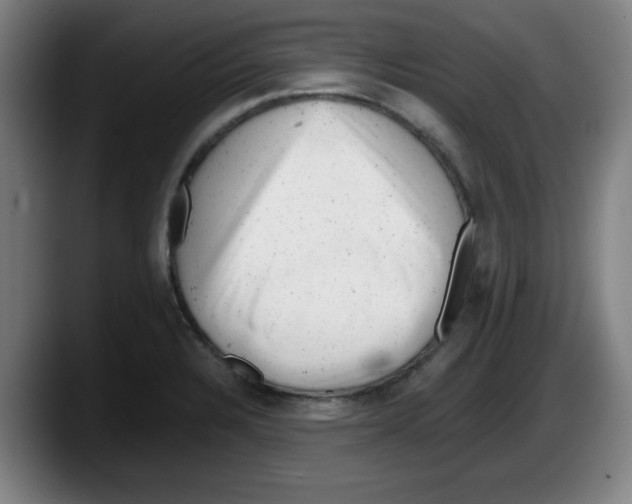 X0000087601328200705251914