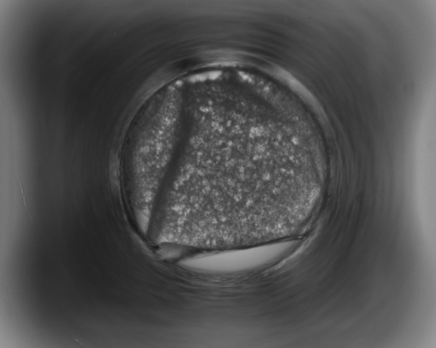 X0000087601329200705251914