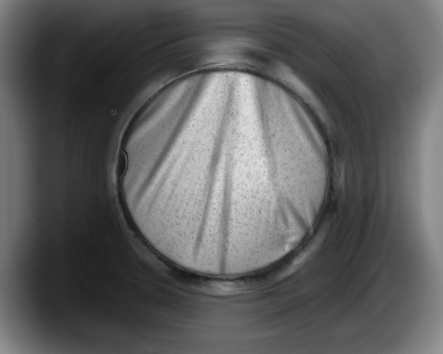 X0000087601330200705251914