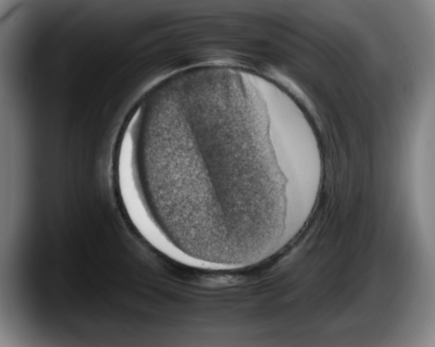 X0000087601331200705251914