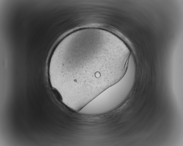 X0000087601332200705251914