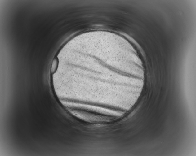 X0000087601333200705251914