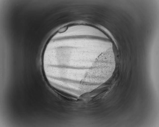 X0000087601335200705251914