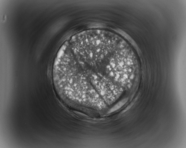 X0000087601337200705251914