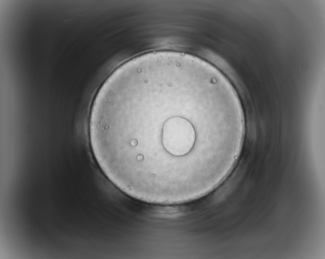 X0000087601338200705251914