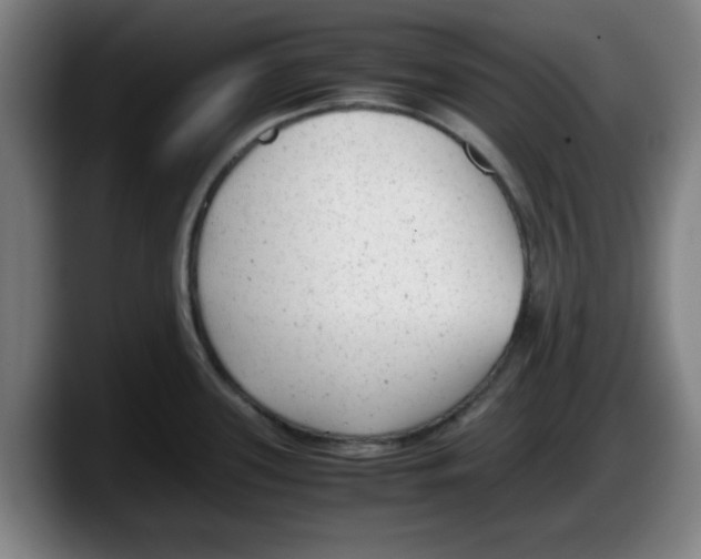 X0000087601339200705251914