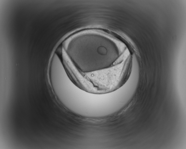 X0000087601340200705251914