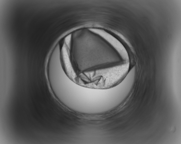 X0000087601342200705251914