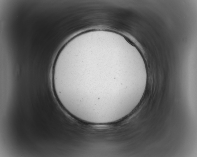 X0000087601343200705251914