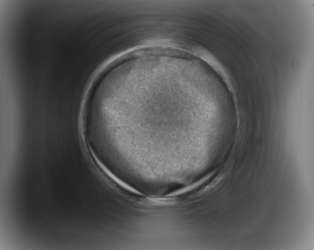 X0000087601344200705251914