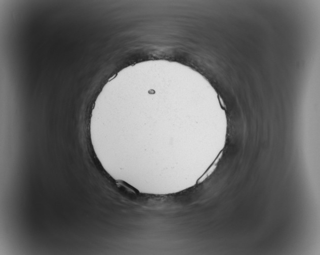 X0000087601345200705251914