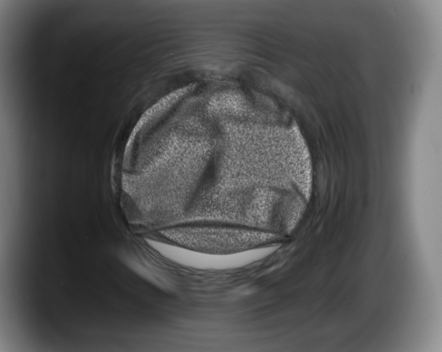 X0000087601346200705251914