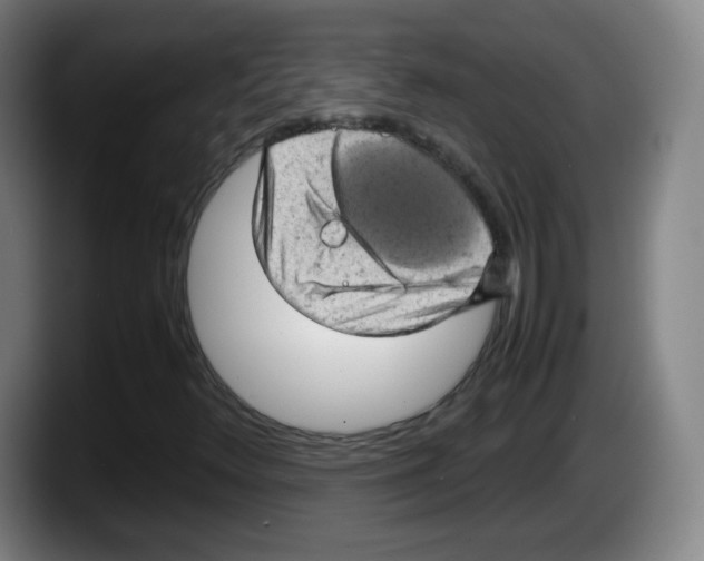 X0000087601348200705251914