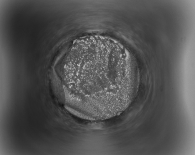 X0000087601351200705251914