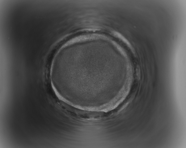 X0000087601352200705251914