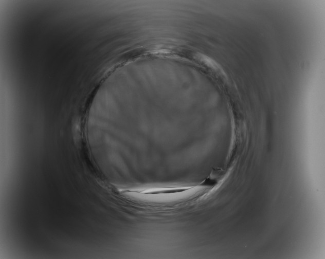 X0000087601353200705251914