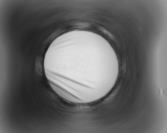 X0000087601354200705251914