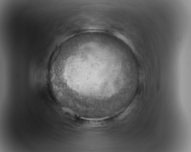 X0000087601357200705251913