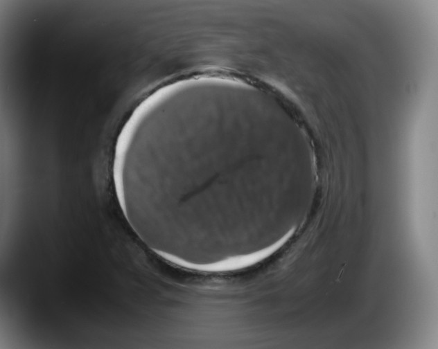 X0000087601359200705251913