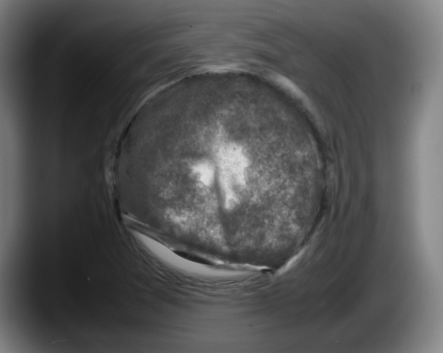 X0000087601361200705251913