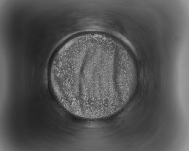 X0000087601364200705251913